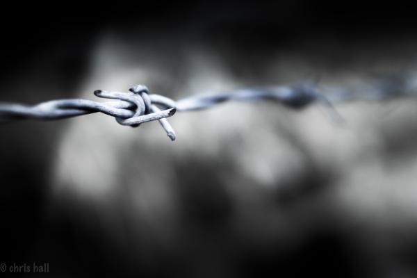 barbed