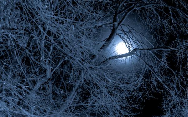 blue moonlight