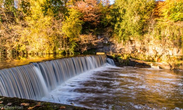 autumn waterfall with heron