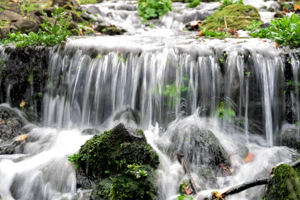 botanics green waterfall